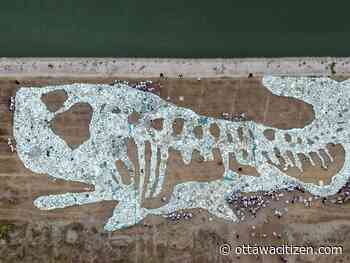 Federal government to study effect of microplastics on humans, wildlife