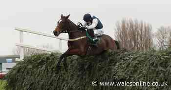 Aintree Grand National contender Walk In The Mill set for Chepstow appearance