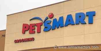 City is going to the dogs! New PetSmart planned for West Orillia - OrilliaMatters.Com