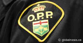 Police investigating after $5,000 worth of fuel stolen in Orillia, Ont. - Global News