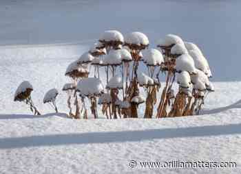 Snow squall alert issued for Orillia and area - OrilliaMatters.Com