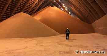 Nutrien to resume operations at Vanscoy, Sask. potash mine
