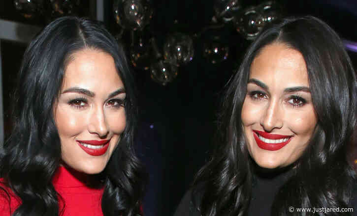 Brie Bella Didn't Talk to Nikki Bella for a Week After Finding Out About Her Pregnancy - Here's Why
