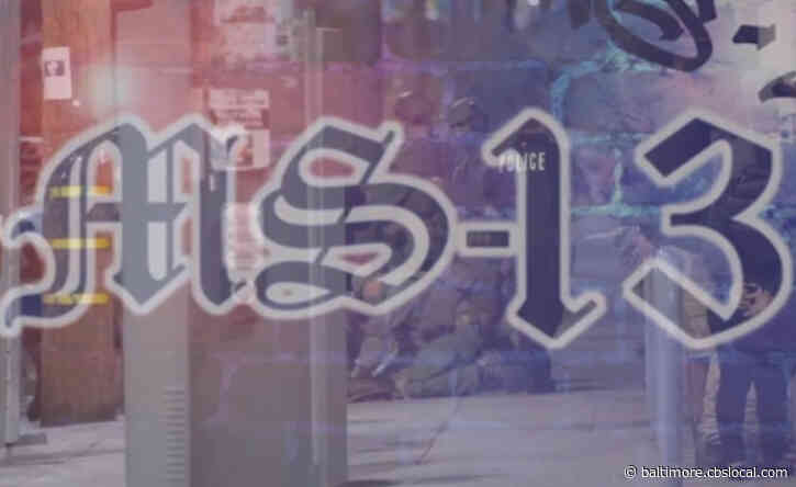 How Residents, Victims Of MS-13 Gang Violence Can Report Tips Anonymously