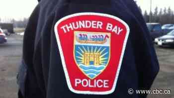 Thunder Bay Police seize firearm, make arrests after incident on city's north side - CBC.ca