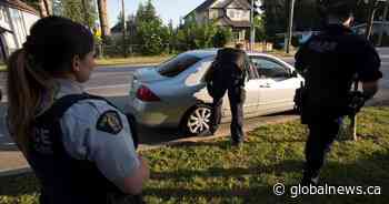 International students ‘ripe for plucking’ by gang recruiters, Fraser Valley police warn