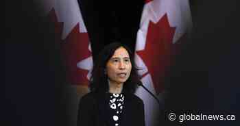 Coronavirus: Did Ottawa wait too long to evacuate Canadians? Health experts say no - Global News