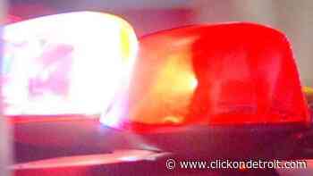 Driver crashes into Lyon Township home while suffering medical condition - WDIV ClickOnDetroit