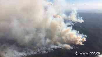 Australia's capital declares state of emergency over out-of-control wildfire