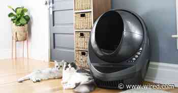 Litter-Robot 3 Connect Review: A Worthwhile But Pricey Cat Toilet