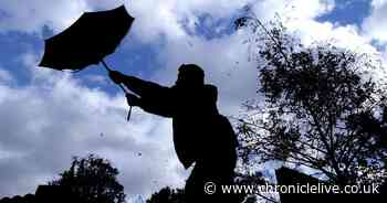 Met Office warns winds of up to 65mph expected to hit the North East