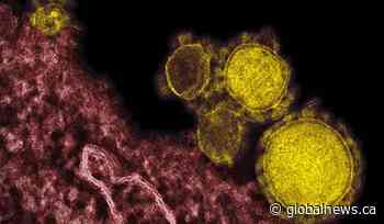 Man with coronavirus discharged from Toronto hospital