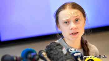 Wie aus „Fridays for Future“ ein Milliarden-Imperium werden könnte