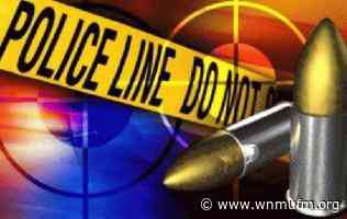 Man dies in Sault Ste. Marie shooting - WNMU-FM