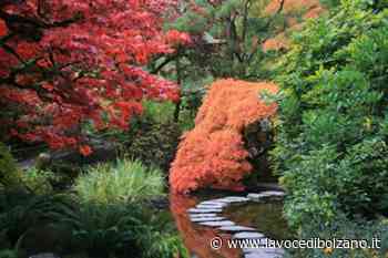 Merano: vere aree verdi anziché tappeti d'erba - La Voce di Bolzano