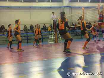Albese Volley le orange travolgono Erba - Giornale di Como