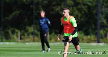 The 5pm Swansea City transfer deadline day update as Declan John to Sunderland on brink, defender leaves and Borja Baston linked with late exit