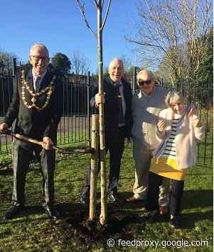 Mayor of Dunstable plants trees at a local care home