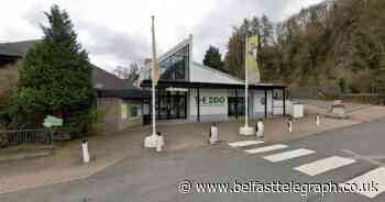 Belfast Zoo faces closure threat if councillors pass caged animals motion
