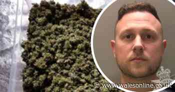 Cannabis dealer sold £50,000 of drugs in five months in 'large-scale' conspiracy
