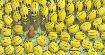 Picture Books That Set a Child’s Imagination Free