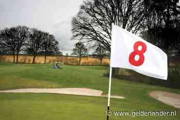 Politie achterhaalt verdachte na achtervolging met golfkarretjes