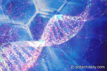 Previously Thought to Serve No Purpose “Phantom Genes” Keep Diabetes at Bay