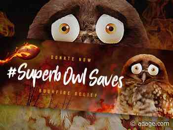 Agency Brief: Owl to swoop into Super Bowl for Australian wildlife relief