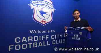 Cardiff City launch trust fund for Emiliano Sala and his family