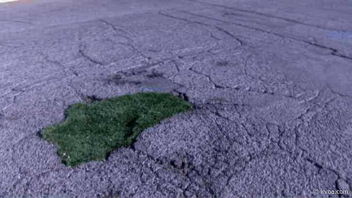 Be-leaf it: Downtown residents fill potholes with turf