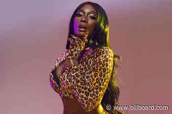Megan Thee Stallion Teams With Phony Ppl for Groovy New Song 'Fkn Around'