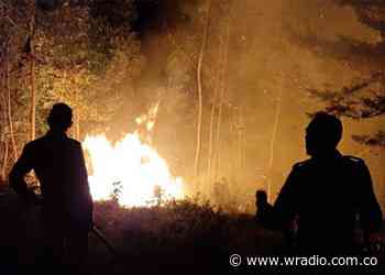 Más de 10 hectáreas consumidas por incendio forestal en Chinavita, Boyacá - W Radio