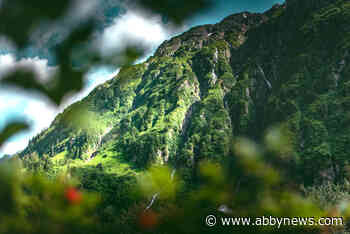 ‘Natural Expressions’ is theme of latest exhibition at Kariton Gallery