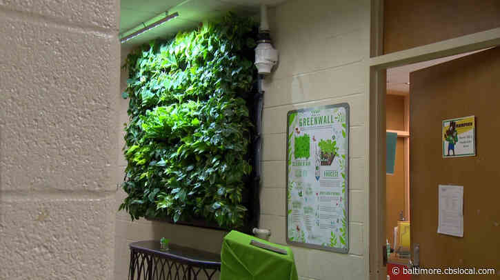 Hampden Elementary Middle School Uses ‘Green Wall’ To Clean Its Air