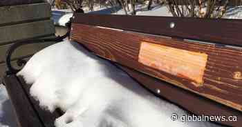 Charges laid after more than 100 memorial plaques stolen from Edmonton benches