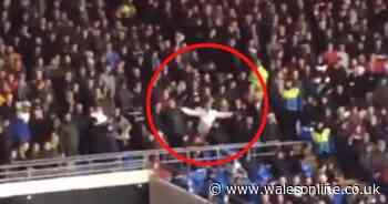 Supporter in away end ejected during Cardiff City vs Reading clash after alleged aeroplane gesture