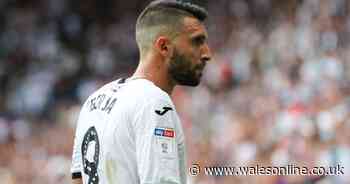 What Aston Villa fans can expect from Borja Baston and the grim numbers from his Swansea City career