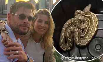 Chris Hemsworth and Elsa Pataky release a snake back into the wild at their mansion in Byron - Daily Mail