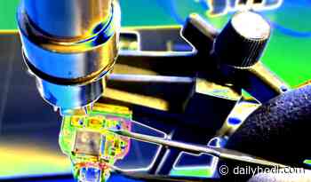 Popular Cryptocurrency Wallet Gets Cracked – In 15 Minutes: Kraken Report - The Daily Hodl