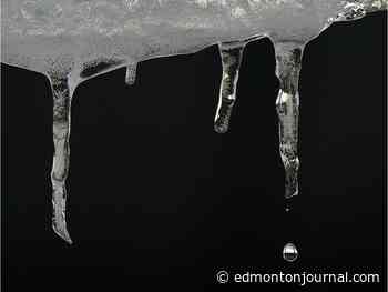 Edmonton weather: Drip drip drop little January shower - Edmonton Journal