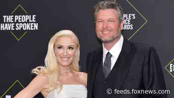 Blake Shelton's 10-year plan involves Gwen Stefani