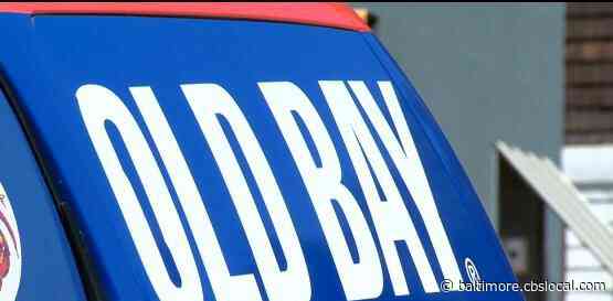 Johns Hopkins Student Knits Her Cat An Old Bay Themed Sweater