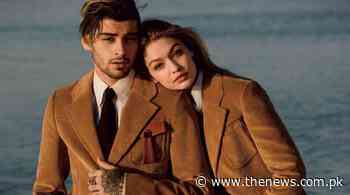 Gigi Hadid and Zayn Malik reunite, linkup rumours take internet by storm - The News International
