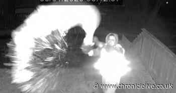 Investigation under way after paint thrown at a house in Gateshead - Chronicle Live