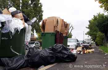 Bobigny : les dépôts sauvages d'ordures s'invitent pour les municipales - Le Parisien