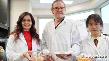 U of S researchers giving new purpose to vegan egg replacement aquafaba