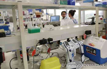 Bid to develop coronavirus vaccine will involve key role for York professor