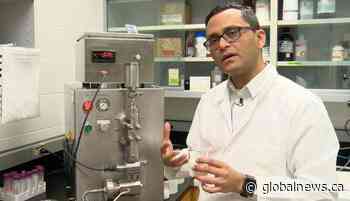 Plant protein researchers hope to make most of Sask. crops