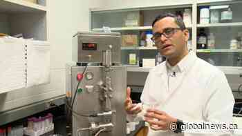 Saskatchewan researchers working to make most of local crops