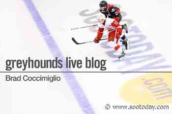 Live Blog: Soo Greyhounds at Kingston Frontenacs - SooToday